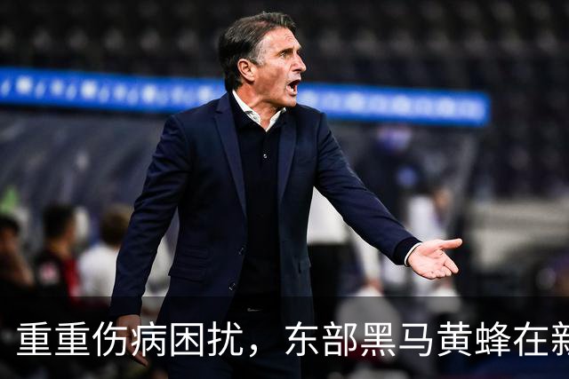 重重伤病困扰，东部黑马黄蜂在新赛季的挑战